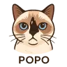 Popo The Cat